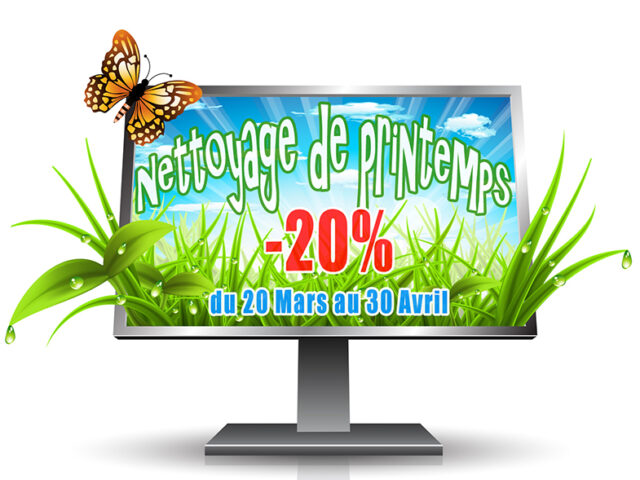 Nettoyage de printemps